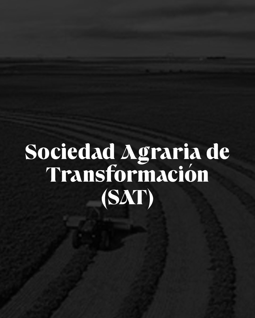 Sociedad Agraria de Transformación (SAT)